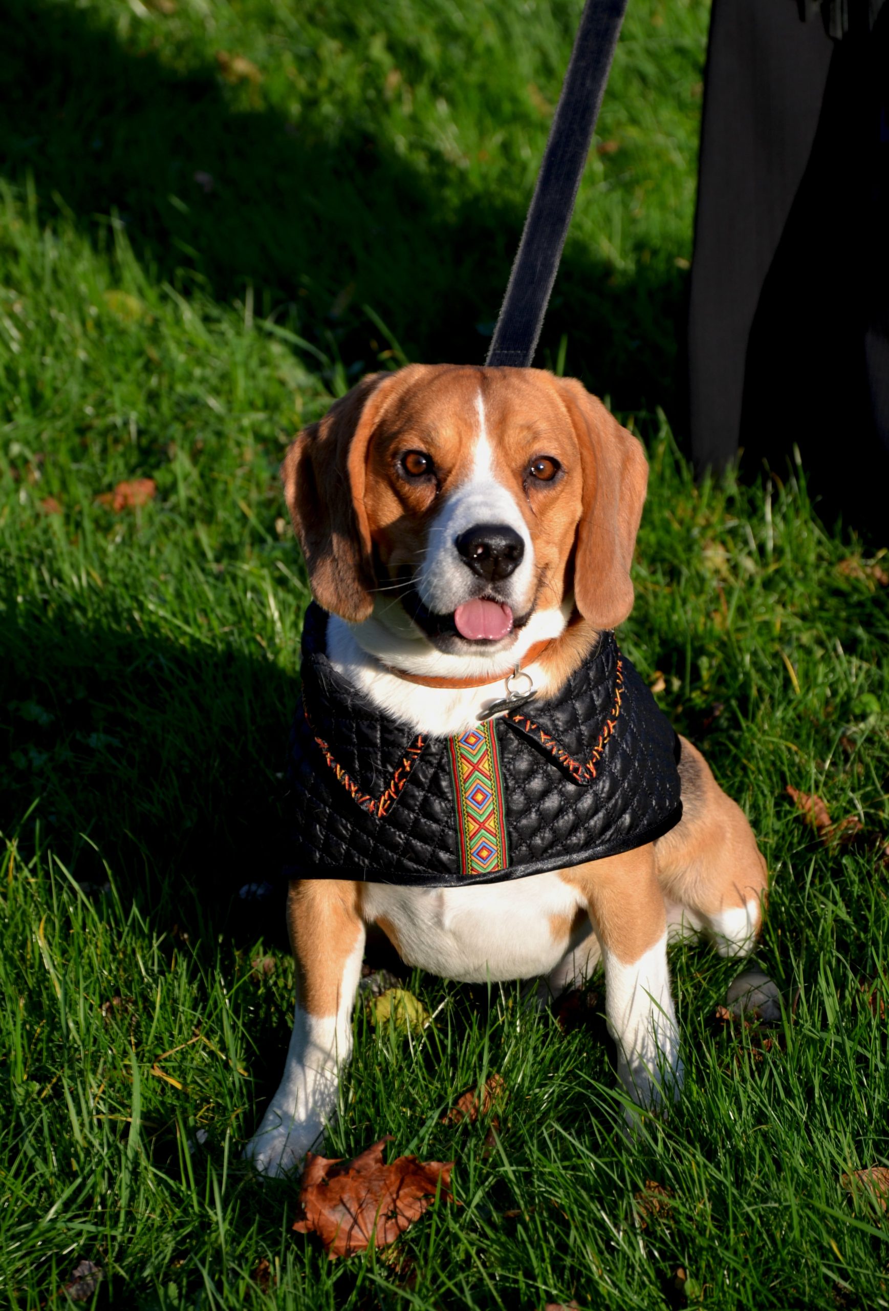 Black dog vest. handmade dog coat